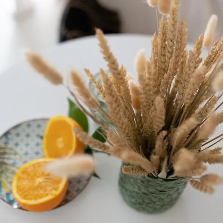 Διαμέρισμα D'olivo - Luxury *